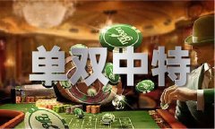 其违纪违法所得；将其涉嫌犯罪问题移送查察机 